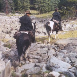 Kaptain and Lyle following Fancy and Reva at the Bighorn Mountains