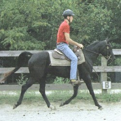 Latte with her trainer
