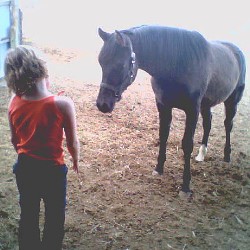 Kennedy and yearling Malan