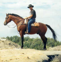 Doremi with rider Lyle Orso