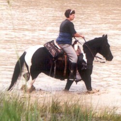 Fancy crossing river