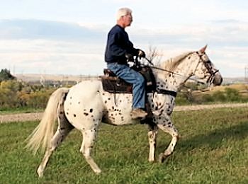 Patsy with Lyle mounted